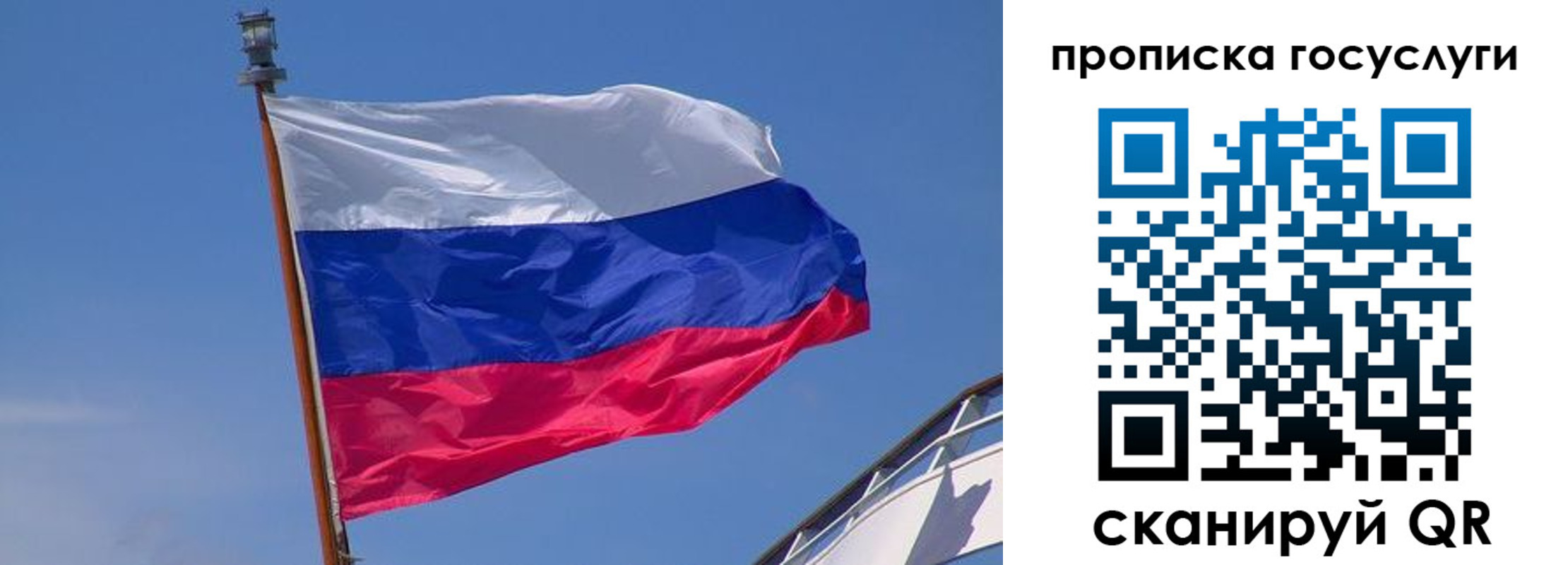регистрация в Нелидово